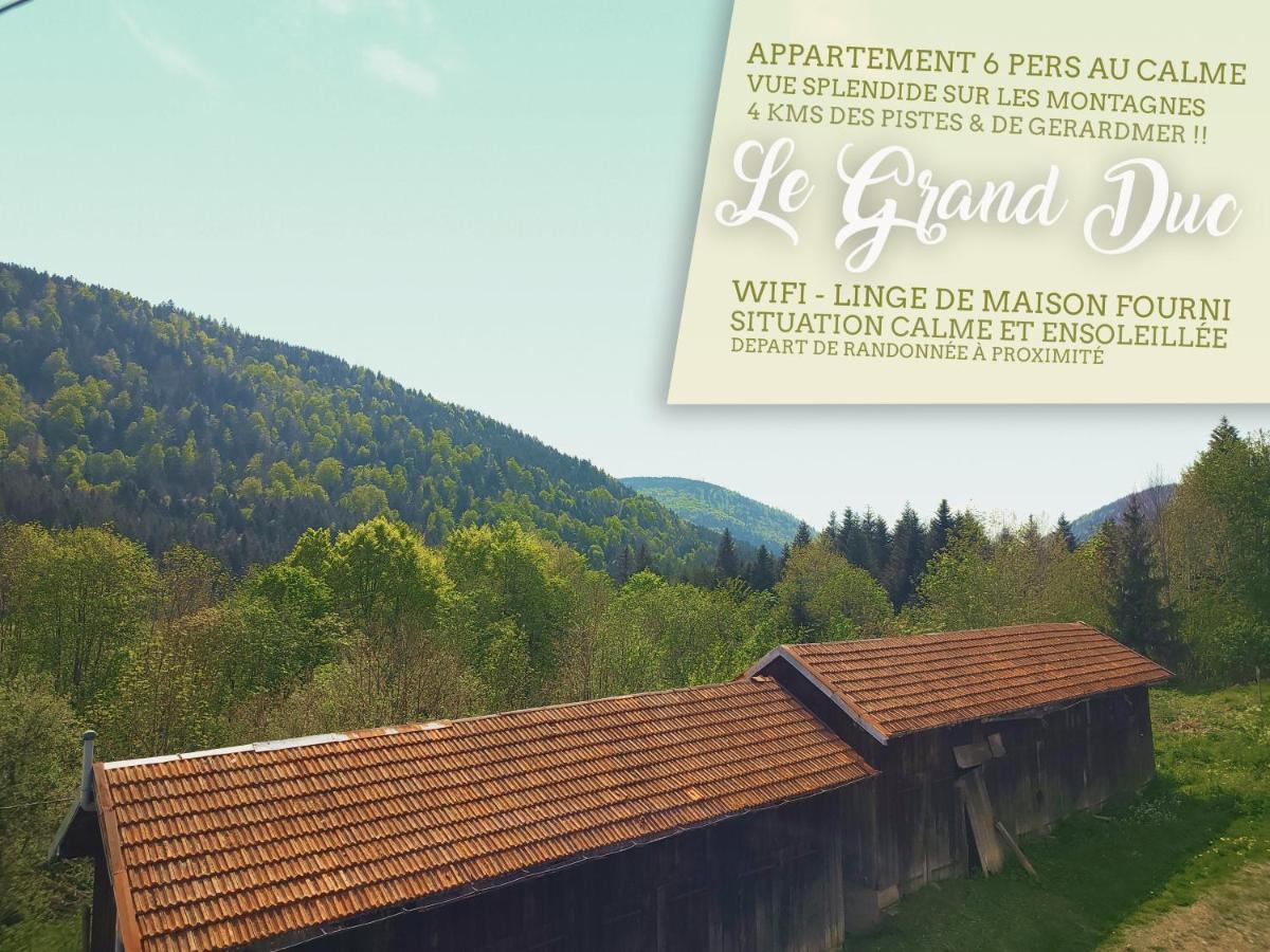 ⁂⁂ Le Grand Duc Appartement Cledicihome / Magnifique Vue Sur Les Montagnes / 4 Kms De Gerardmer ! ⁂⁂ Rochesson Экстерьер фото