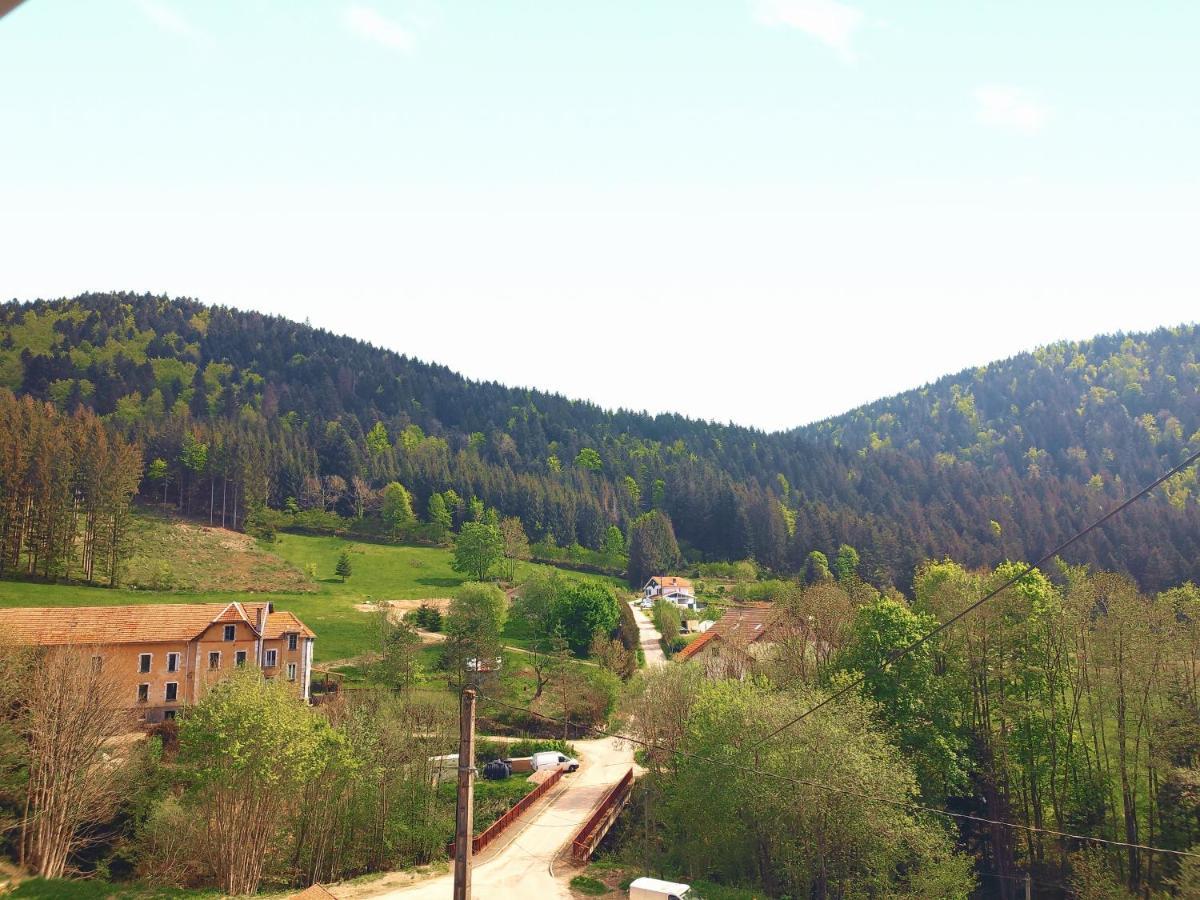 ⁂⁂ Le Grand Duc Appartement Cledicihome / Magnifique Vue Sur Les Montagnes / 4 Kms De Gerardmer ! ⁂⁂ Rochesson Экстерьер фото