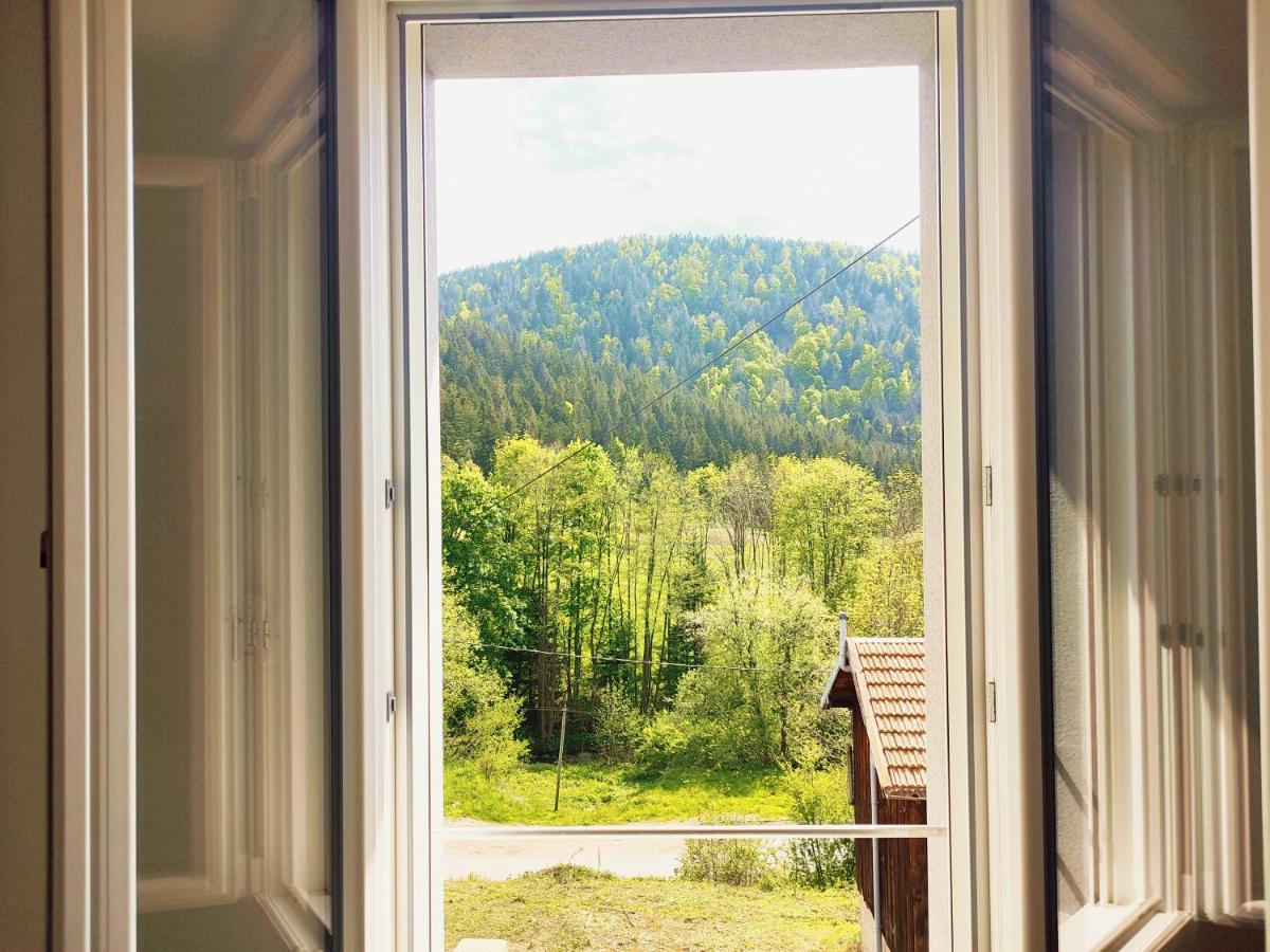 ⁂⁂ Le Grand Duc Appartement Cledicihome / Magnifique Vue Sur Les Montagnes / 4 Kms De Gerardmer ! ⁂⁂ Rochesson Экстерьер фото