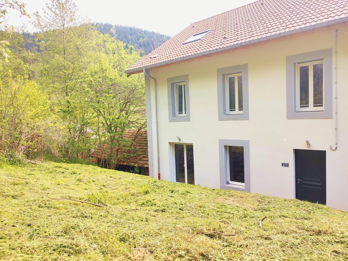 ⁂⁂ Le Grand Duc Appartement Cledicihome / Magnifique Vue Sur Les Montagnes / 4 Kms De Gerardmer ! ⁂⁂ Rochesson Экстерьер фото